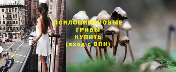 меф Мегион