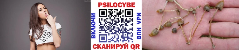 дарнет шоп  Нахабино  Псилоцибиновые грибы мухоморы 